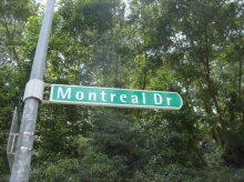 Montreal Drive #104172